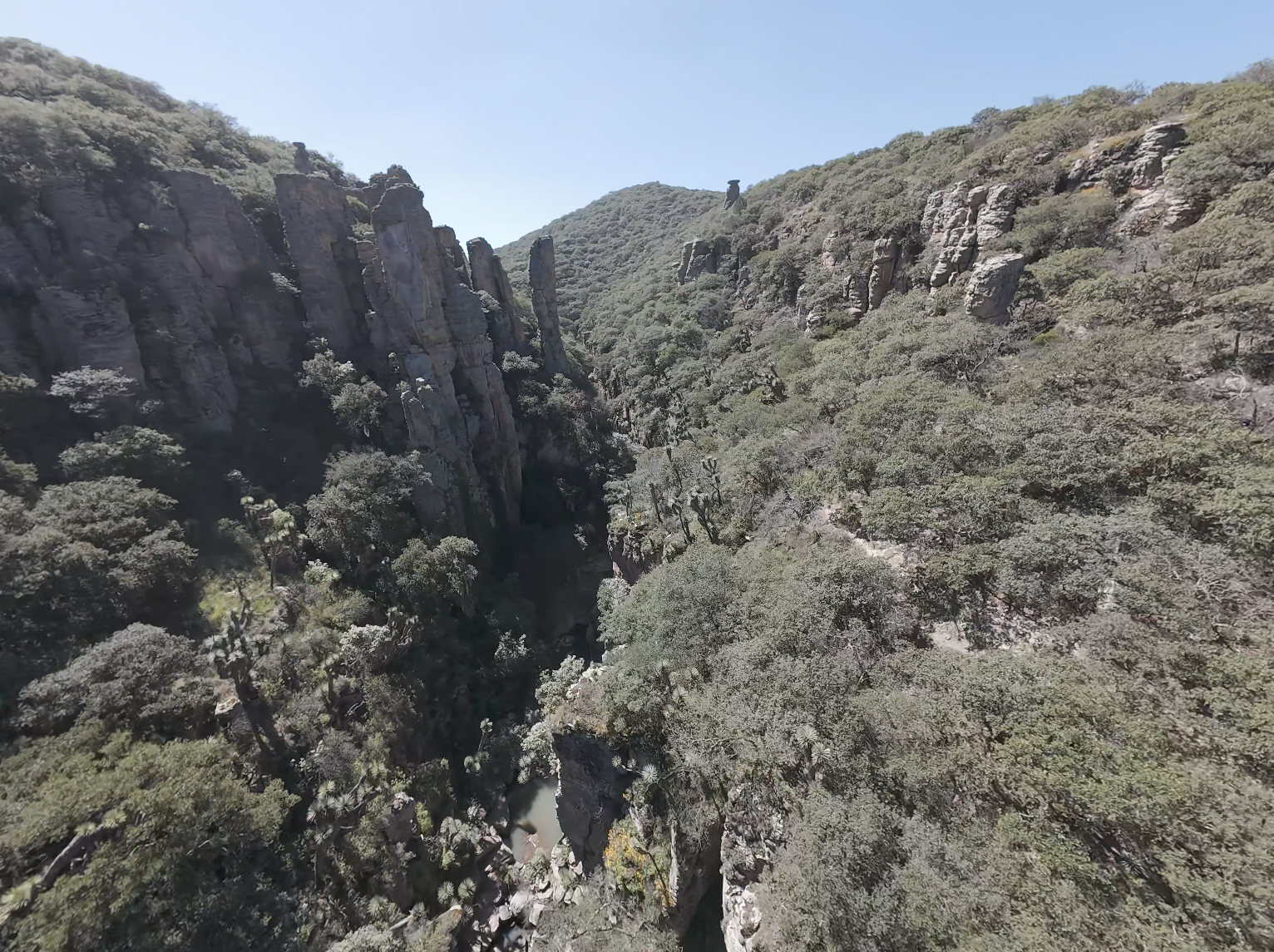 FPV/Aerial